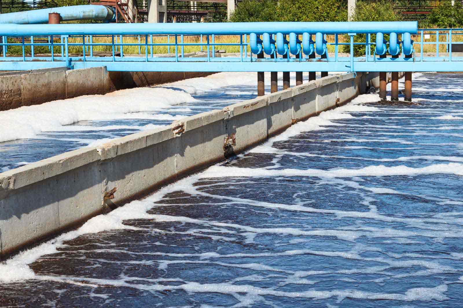 Microbial Method Of Treating Wastewater