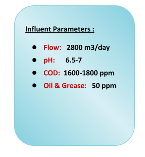 Influent Parameters