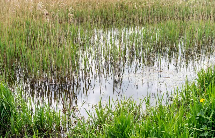 Saving The Earth, One Septic Tank At A Time