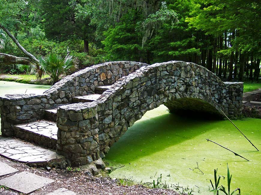 Algae On Water