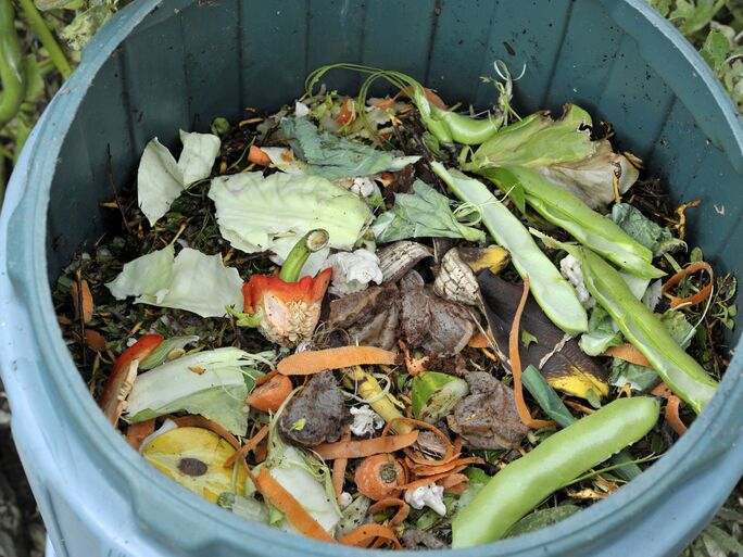 DIY Guide To Make a Compost Bin at Home