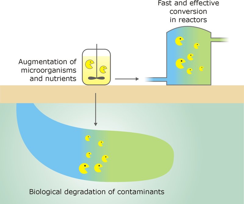 Bio-augmentation: An Emerging Industrial Wastewater Treatment Strategy
