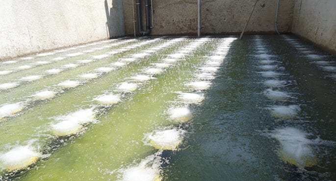 Aerobic Biological Treatment of Wastewater