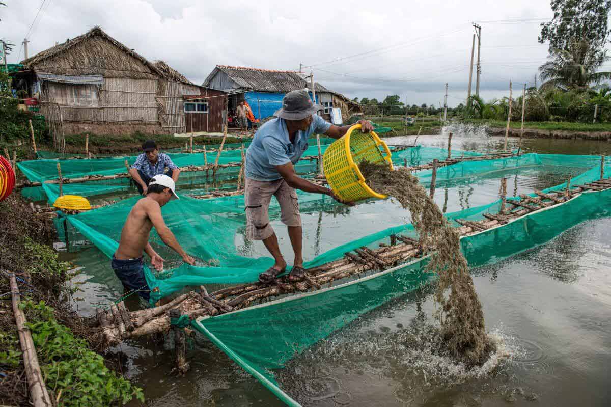Impact of Aqua Chemicals