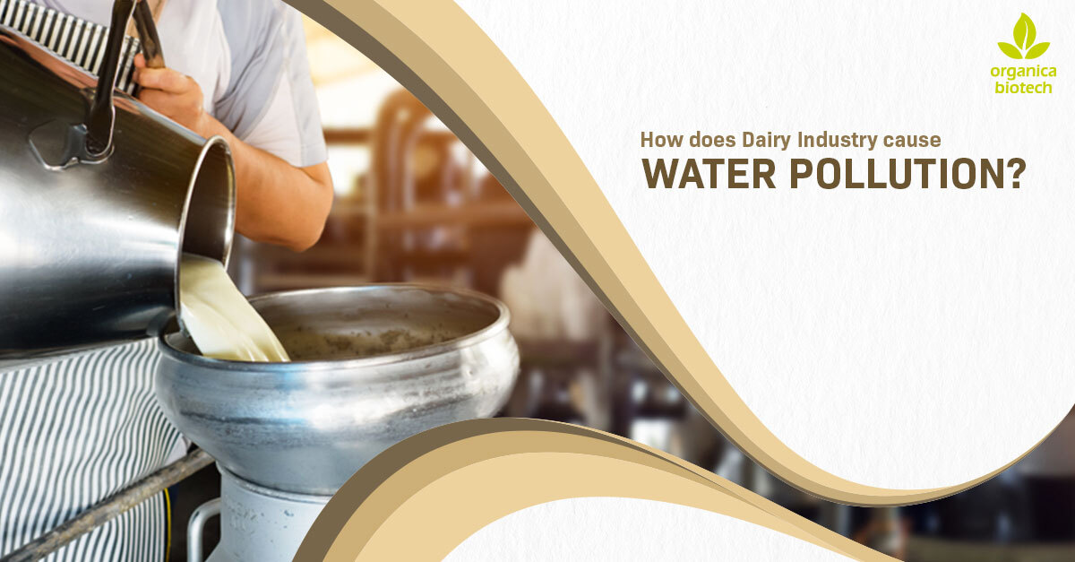 Dairy Industry Cause Water Pollution