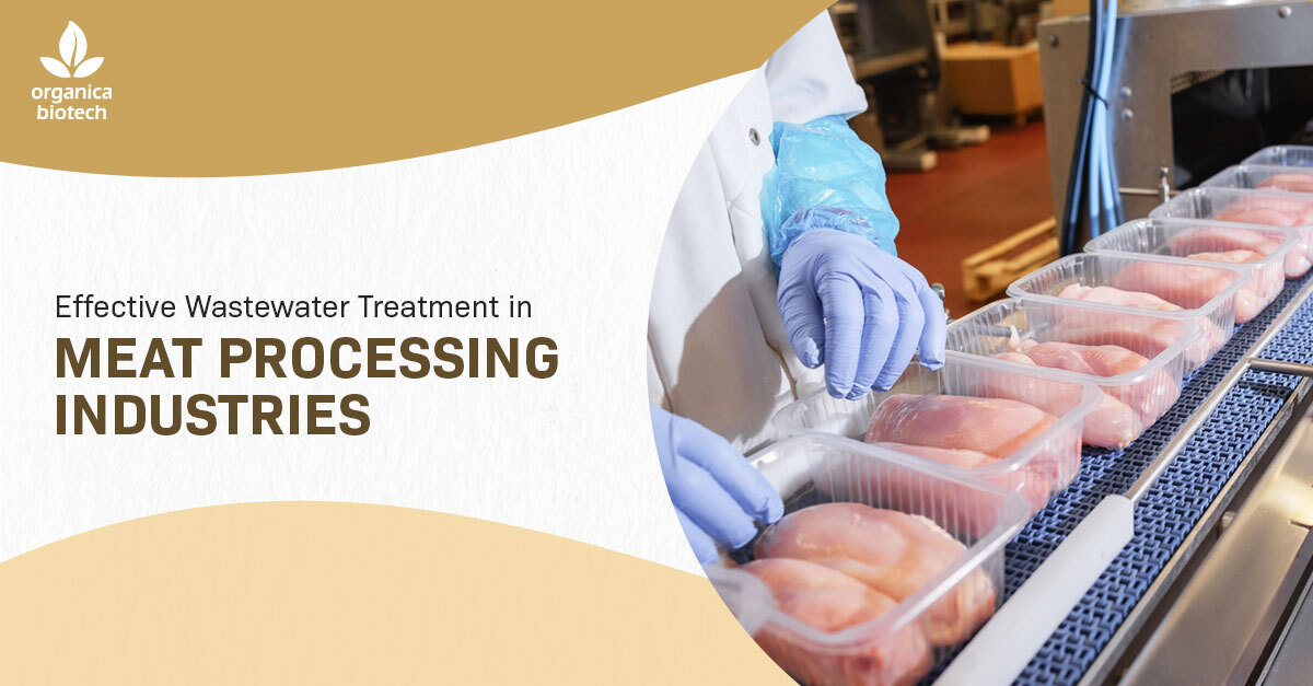 Wastewater Treatment In Meat Processing Industries