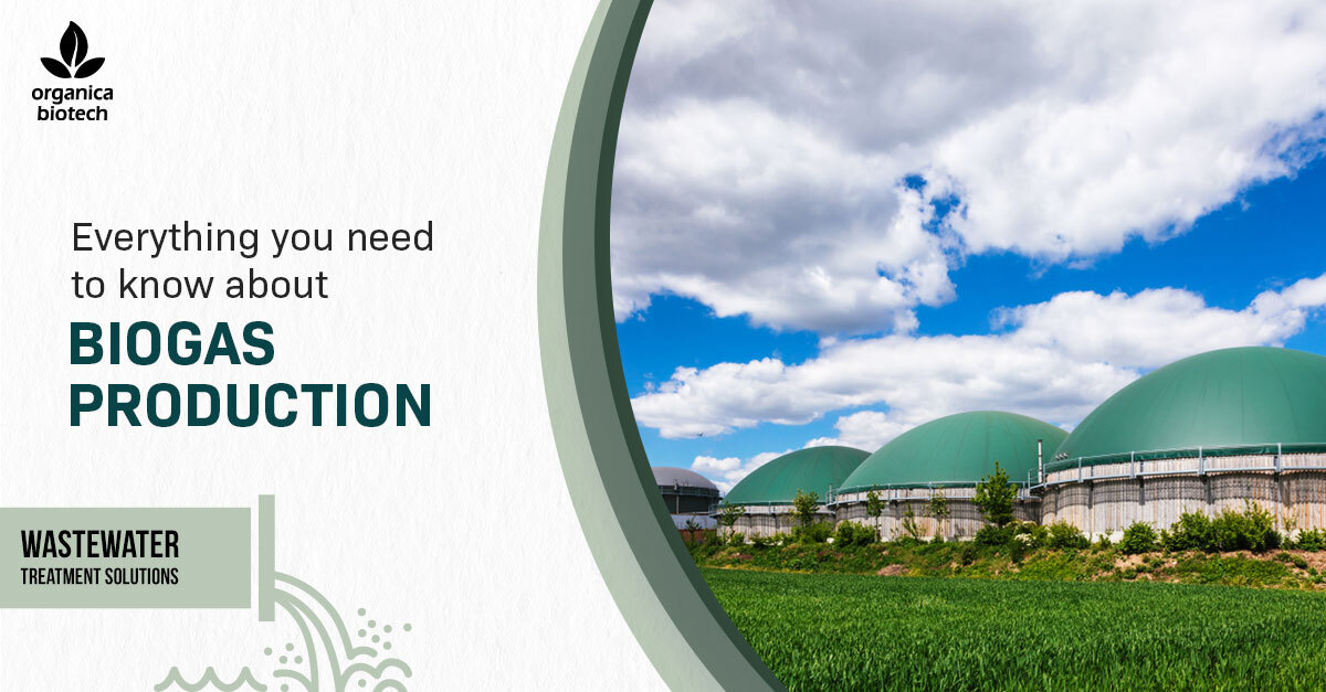 Everything You Need To Know About Biogas Production