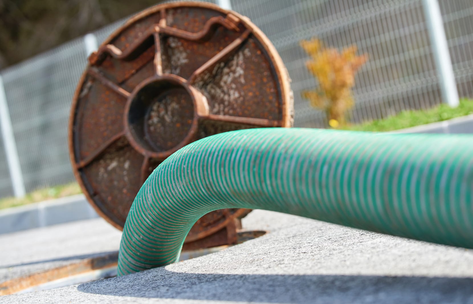 The Secret Sauce of a Happy Septic Tank