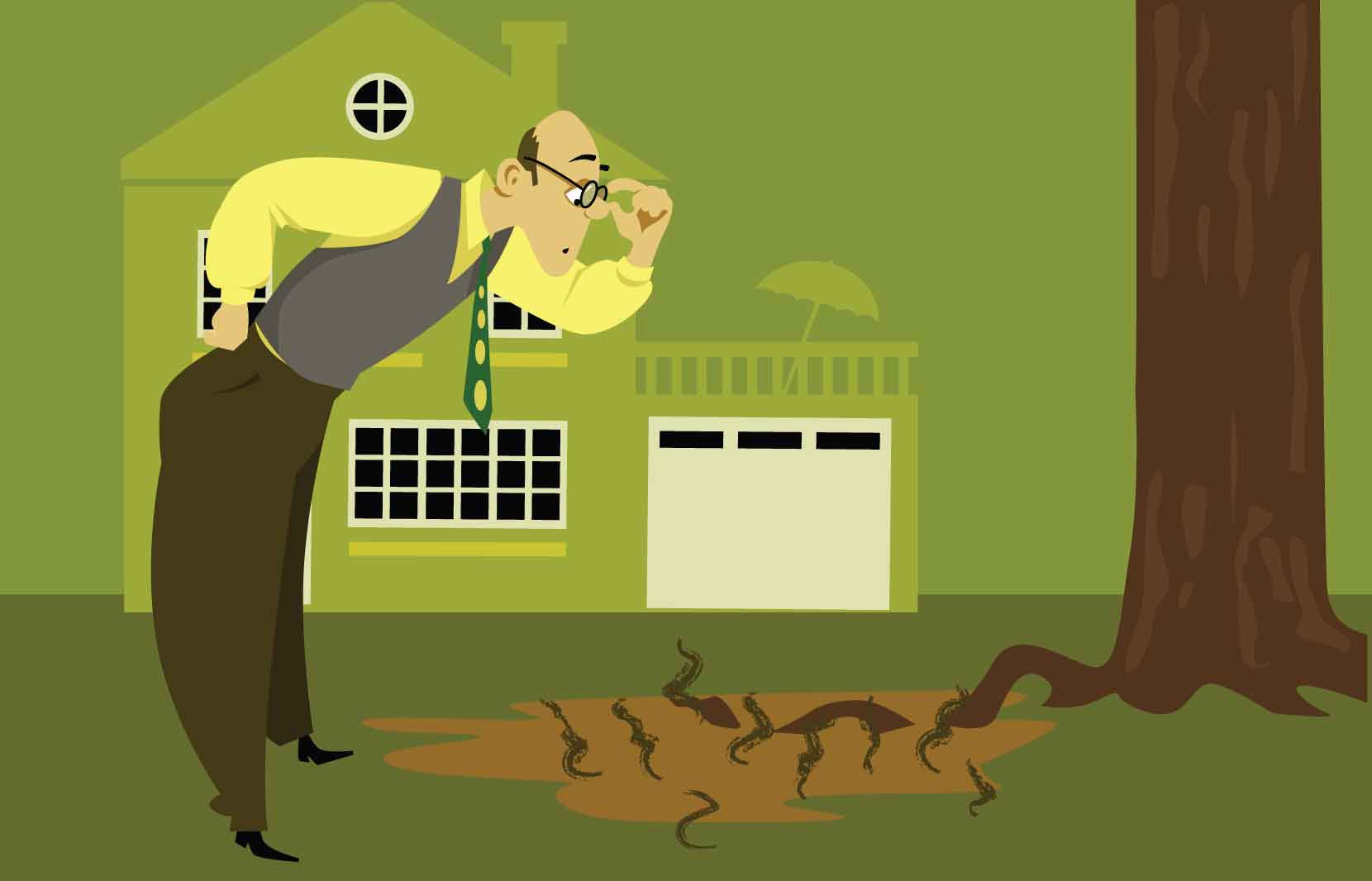 You Know You Have A Septic Tank When... - Organica Biotech