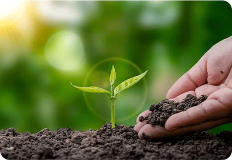 Soil Treatment Products and Solutions