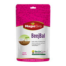 MagicGro Beejbal for Yield and Quality in Farming