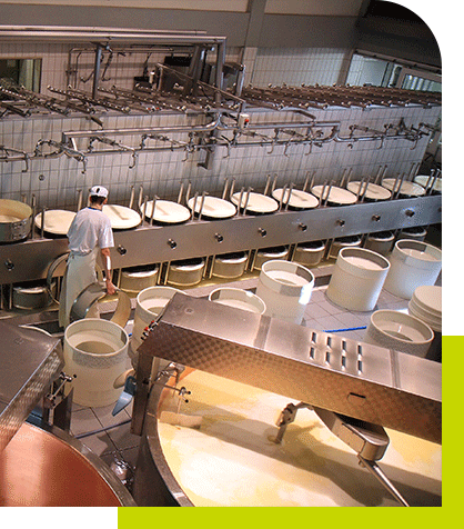 Cleanmaxx-Dairy-Section-2