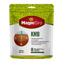 MagicGro KMB for Nuritent Deficiency