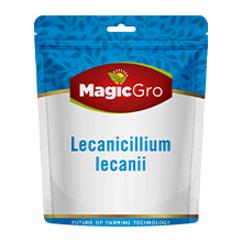 Lecanicillium Lecanii