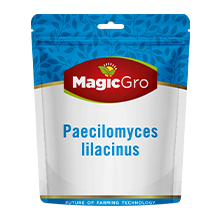 Paecilomyces-Lilacinus