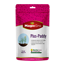 MagicGro Plus-Paddy