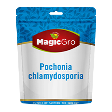 Pochonia-Chlamydosporia