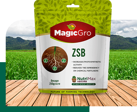 MagicGro ZSB