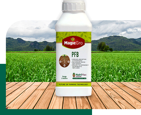 MagicGro PFB