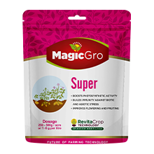 MagicGro Super for Soil Treatment