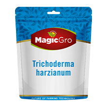 Trichoderma-Harzianum