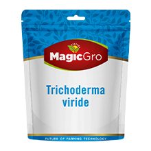 Trichoderma-Viride