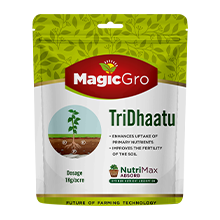 MagicGro Tridhaatu for Nurtient Deficiency