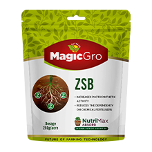 MagicGro ZSB for Nuritent Deficiency