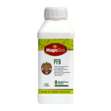 MagicGro PFB (Phosphate Solubilizing Fungal Bacteria)