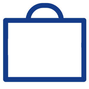 Bag Icon