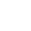 icon1