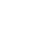 Experienced Team