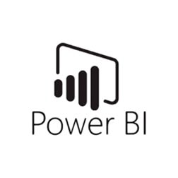 power bi branding