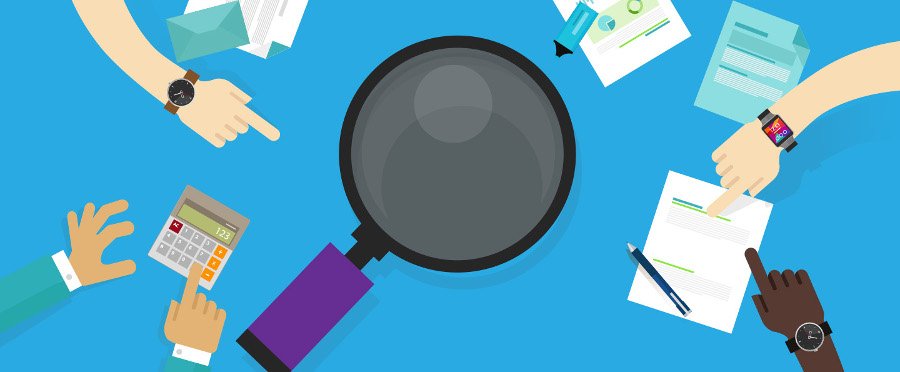 Salesforce License Audit